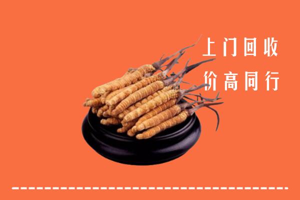 高价求购：蒲市回收散虫草